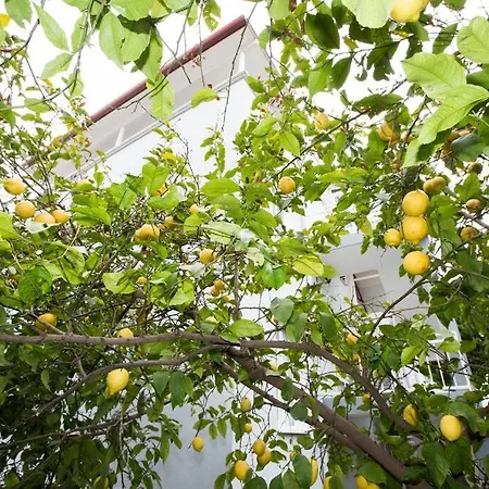 Апартаменты Limon Agacli Ev - Урла