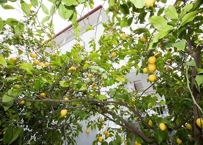 Apartment Limon Agacli Ev - Urla